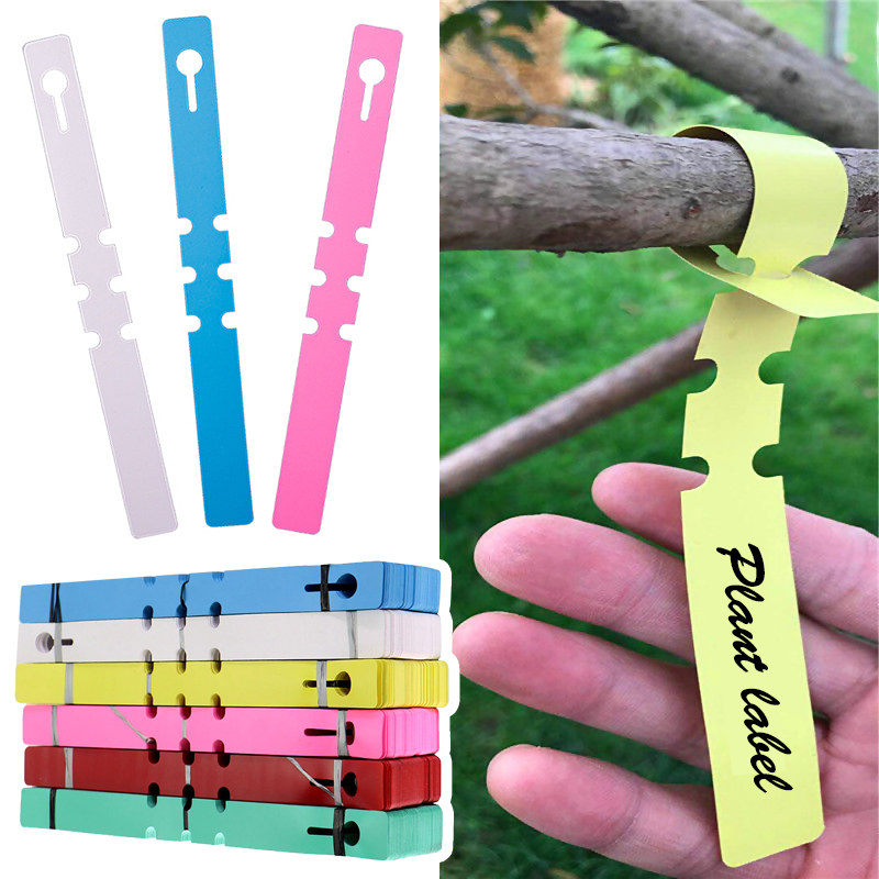 50 шт. водонепроницаемые марке – обзор и цена Gardening Tools Labeled