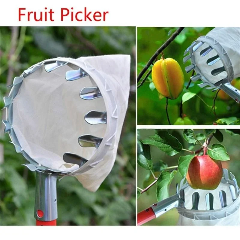Садовый сборщик фруктов, телес – обзор и цена Gardening Tools Scissors