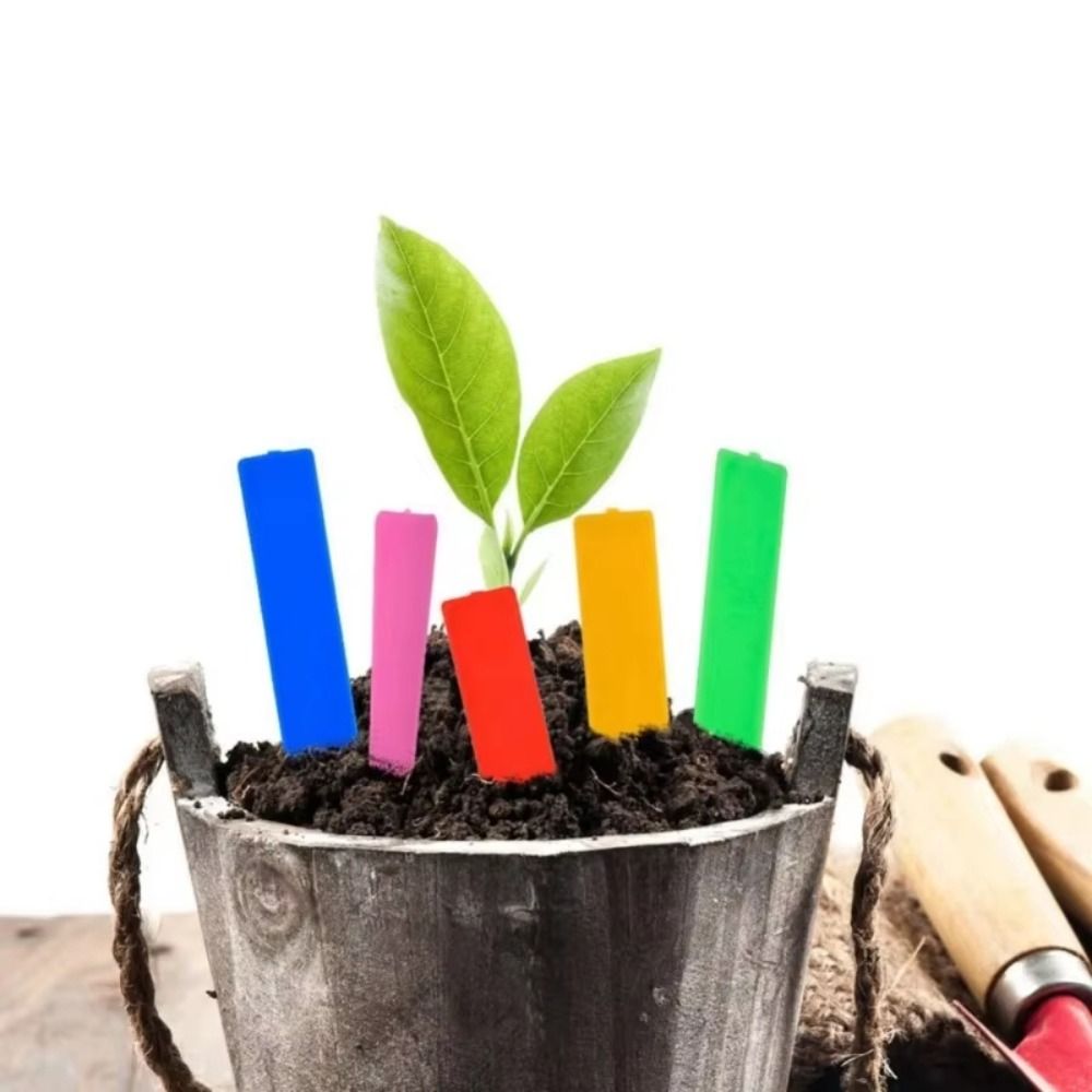 100 шт. пластиковых бирок для  – обзор и цена Gardening Tools Labeled
