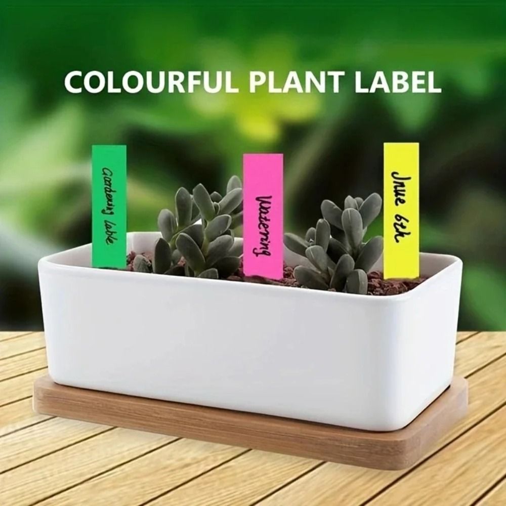100 шт. пластиковых бирок для  – обзор и цена Gardening Tools Labeled