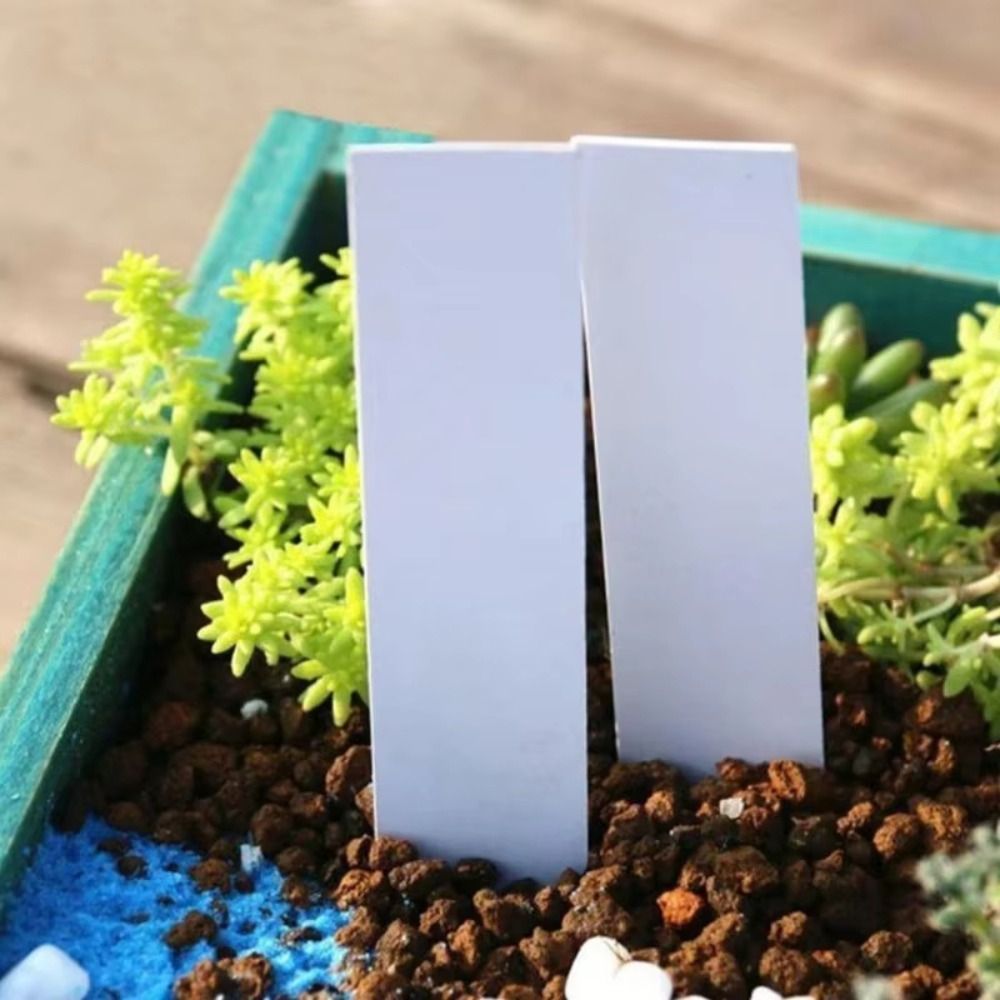 100 шт. пластиковых бирок для  – обзор и цена Gardening Tools Labeled