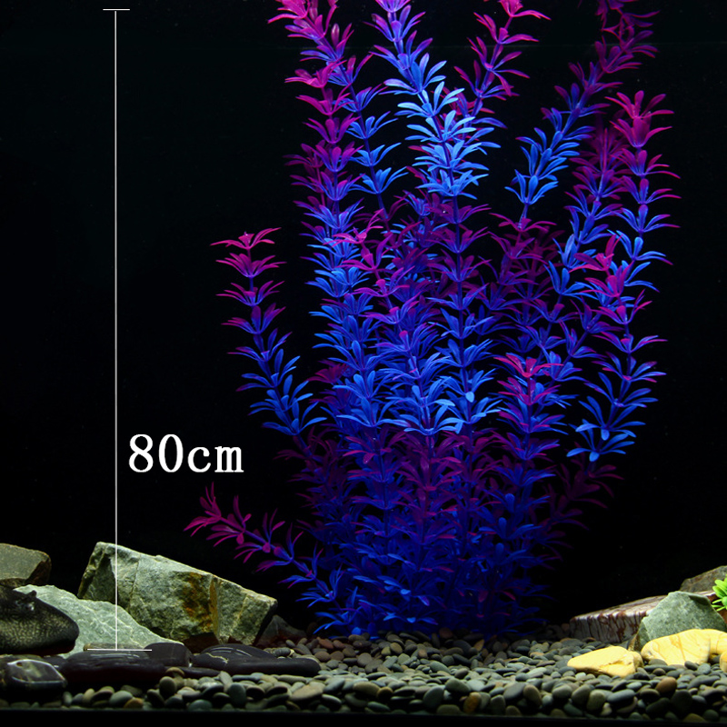 100 см Тропические растения, б – обзор и цена Aquaponics Fish Tank