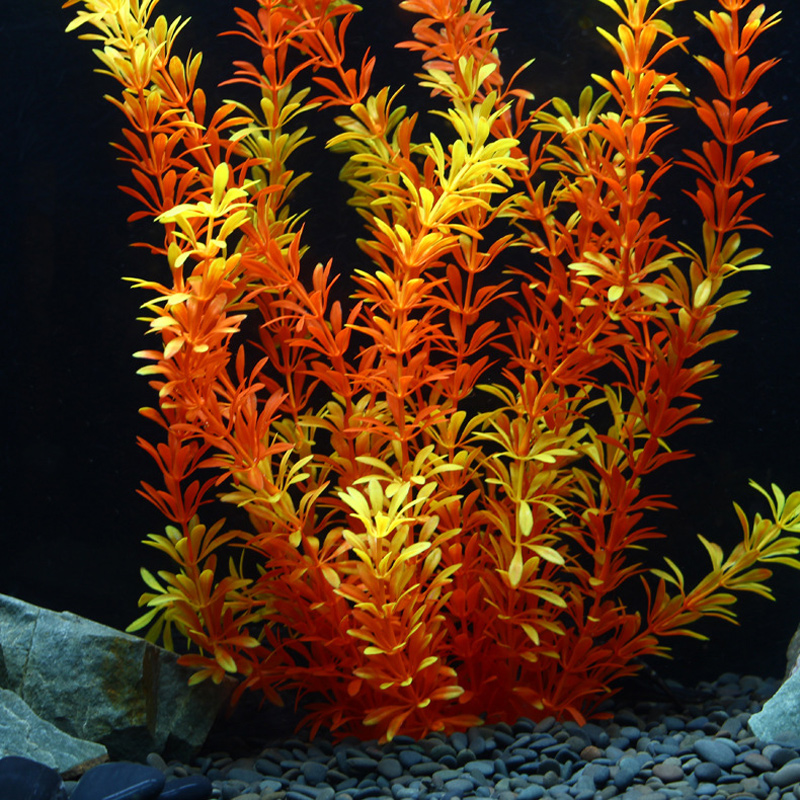 100 см Тропические растения, б – обзор и цена Aquaponics Fish Tank