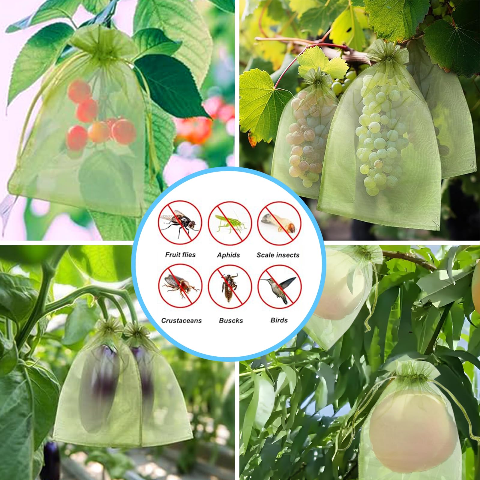 Эффективная сетка от птиц, меш – обзор и цена Garden Netting Cover