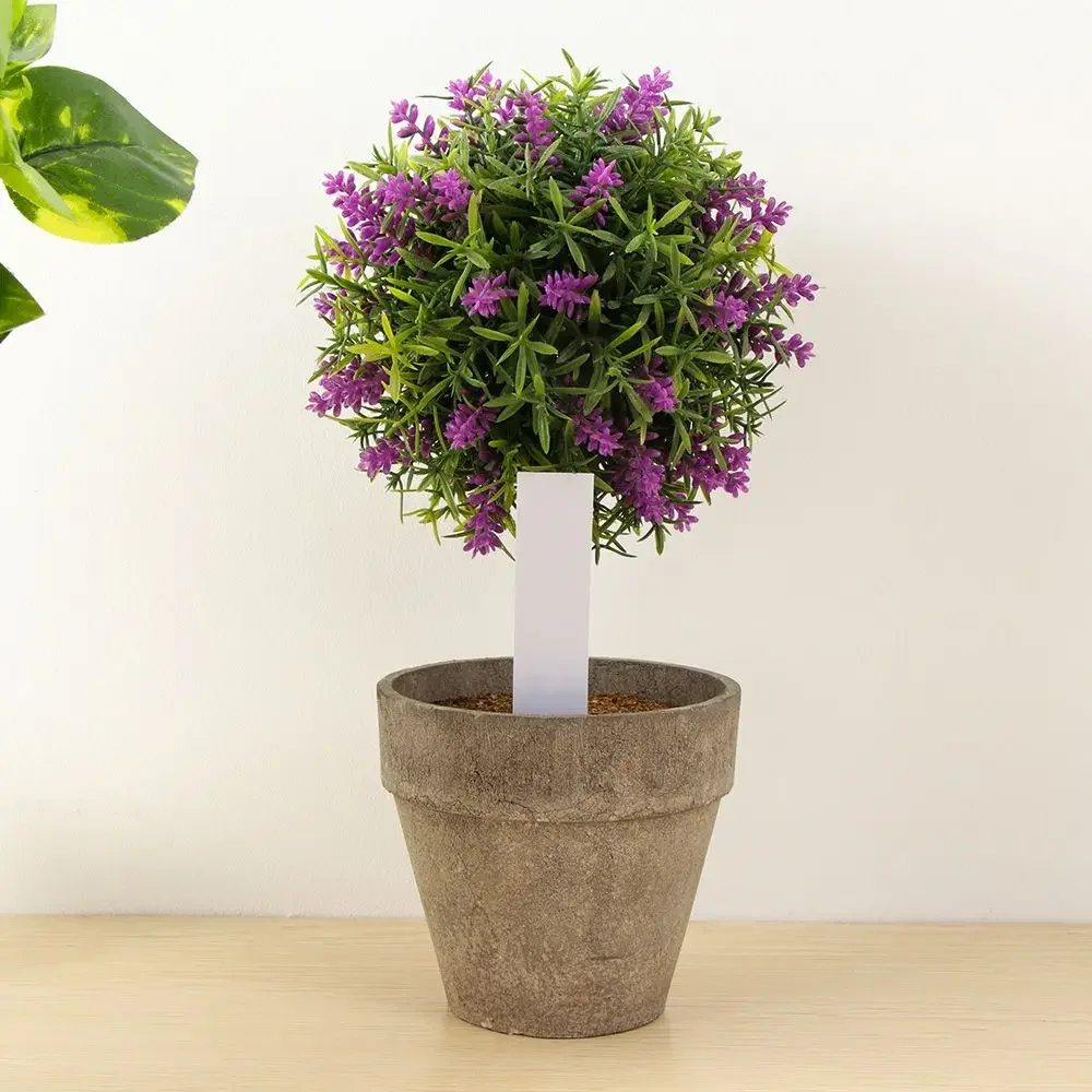 100 шт. многоразовый классифик – обзор и цена Gardening Tools Labeled