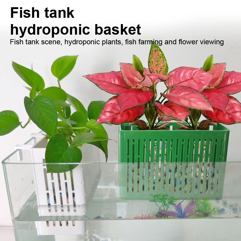 【F】Подвесная корзина для аквар – обзор и цена Aquaponics Fish Tank